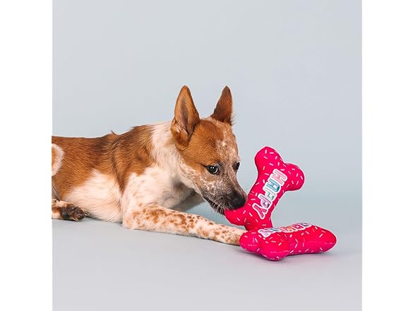 It's My Barkday Plush Dog Toy