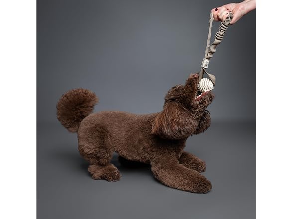 NOAH & PAW Luxury Dog Toy, TPU- Sling, Beige