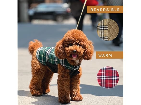 Newbury Waterproof Reversible Warm Dog Winte