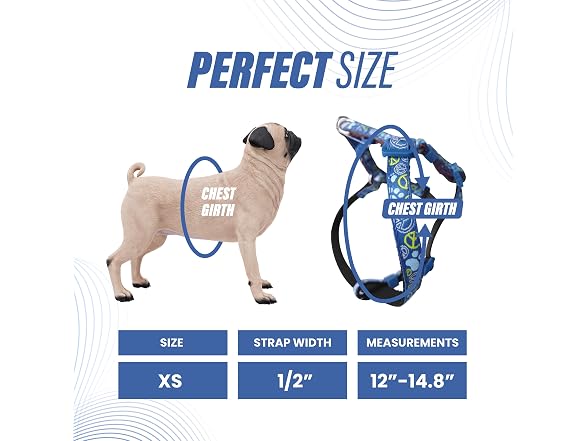 Dog Harness for Puppies, Make Your Walks Eas