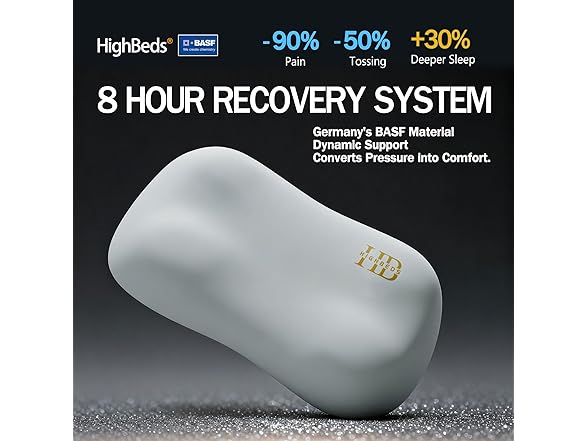 HighBeds Memory Foam Neck Pillow