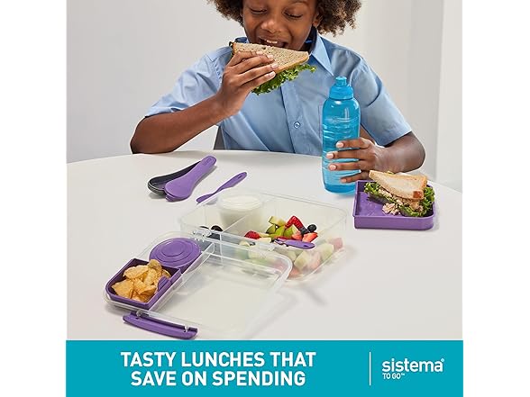 Sistema TO GO Bento Box