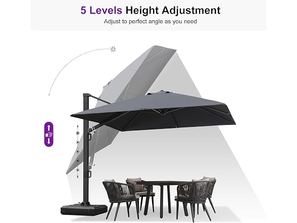 PURPLE LEAF Cantilever Umbrella 10' X