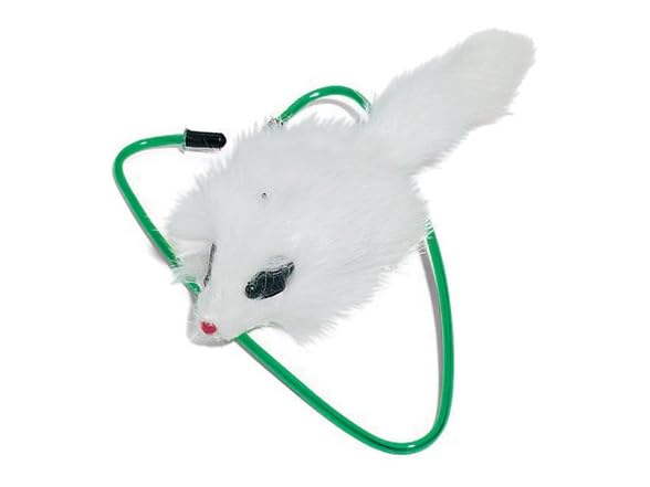 SPOT A-Door-Able Bouncing Mouse Rattle Toy