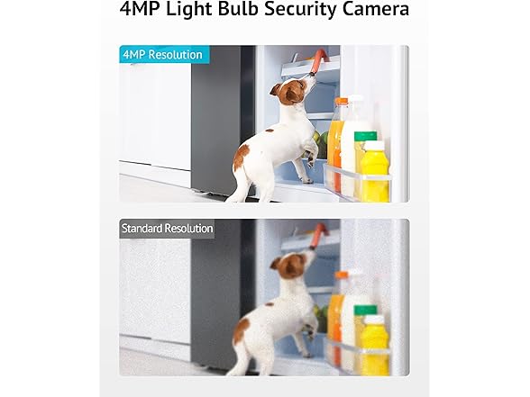 LaView 4MP Bulb Security Camera