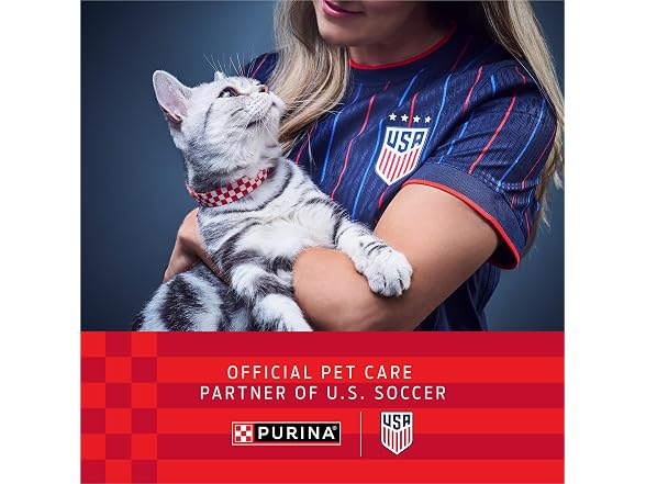 Purina ONE Natural Dry Cat Food, Tender Selects