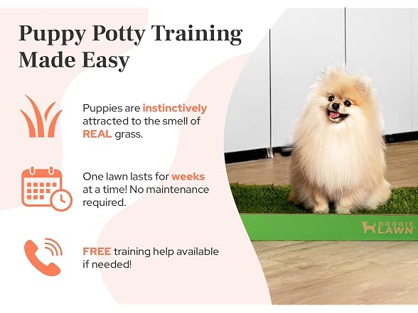 DoggieLawn Real Grass Puppy Pee Pads- 24 x 16