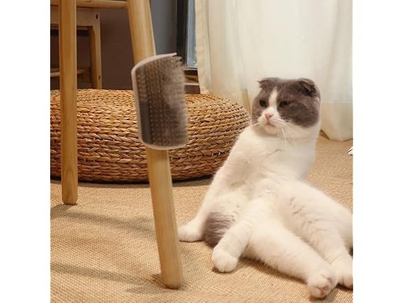 (2 Pack) Cat Corner Self Groomer Brush, Scratcher Post