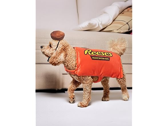 Rubie's Hershey's: Reese's Peanut Butter Cup Costume