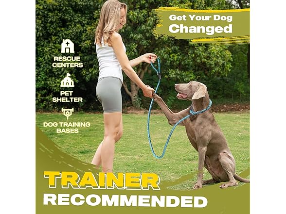 Fida Durable Slip Lead Dog Leash, 6 FT