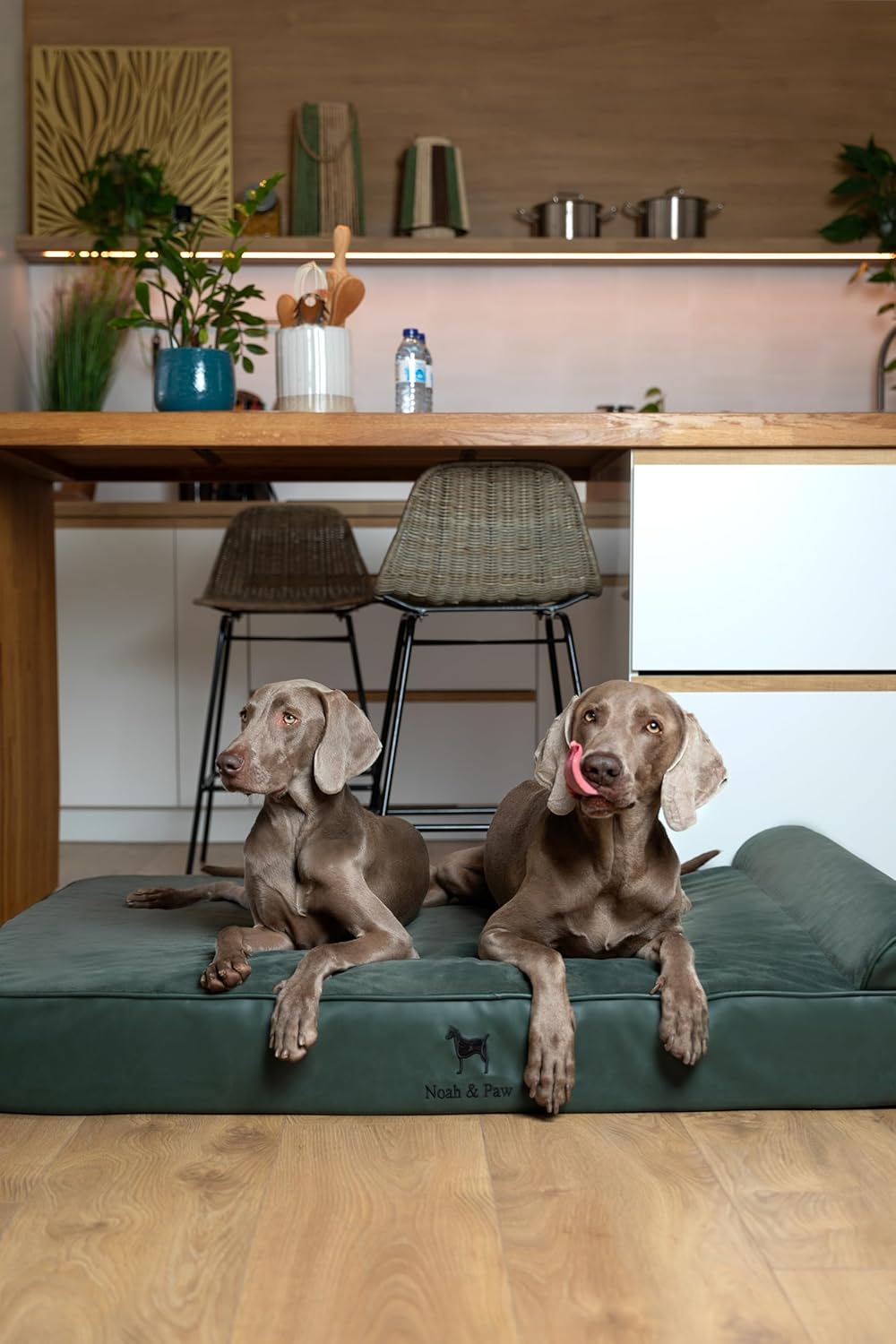 NOAH & PAW Orthopedic Dog Beds- XXLarge - Gallery 13