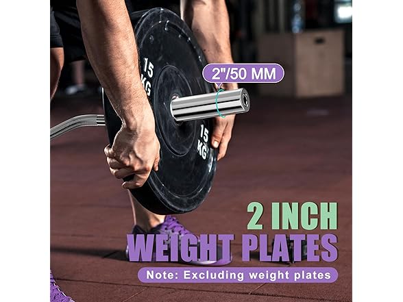 Olympic Barbell Curl EZ Bar 4ft 300lbs Capacity