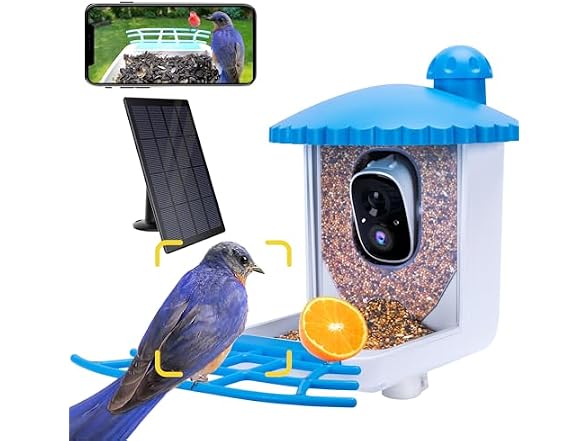 Solar Bird Feeder w/ AI Camera 1080P