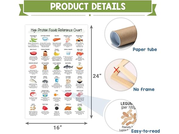 Generic 16x24 High Protein Food Reference