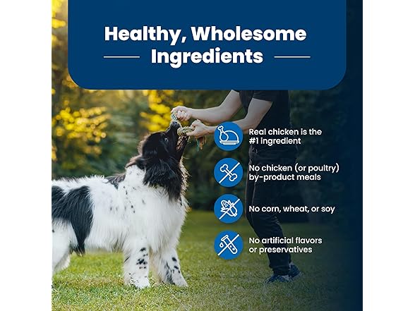Blue Buffalo Life Protection Formula Adult Dog Food