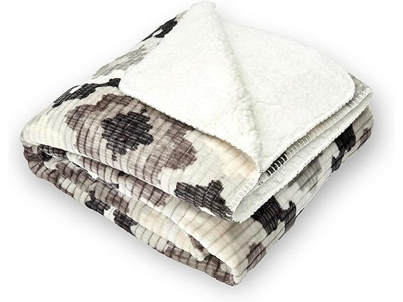 Northwest Ashford Cozy Silk Touch Nadira Ikat 60"x80"