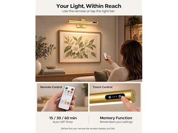 VARICART Wireless Picture Light, 16", 4