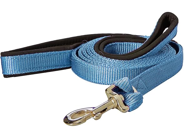 Padded Double Handle Leash with Warranted Re