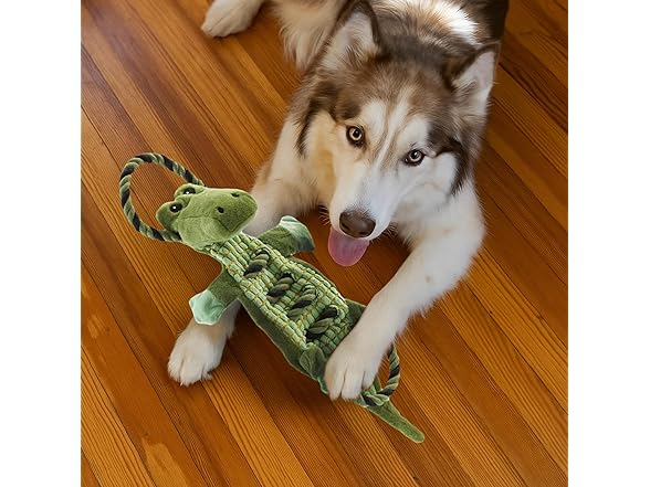 Ropiez Rope Interactive Dog Tug Toy