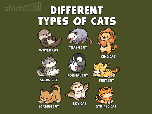 Different Types of Cats