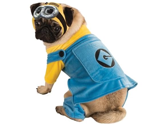 Despicable Me: Minion Pet Costume, M