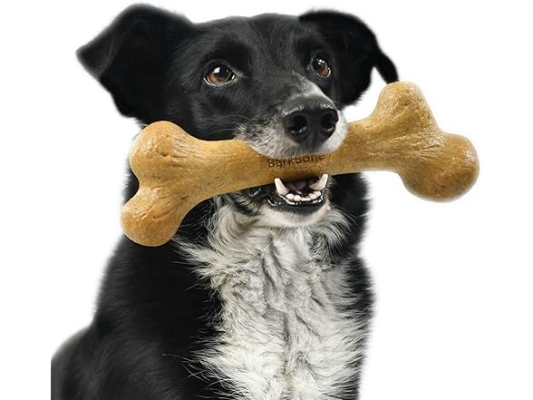 Pet Qwerks Dinosaur BarkBone - Wood Dog Bone