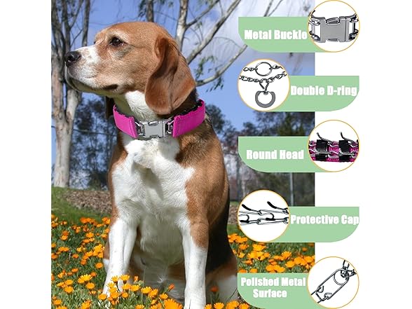HAESINPA Prong Training Collar for Dogs