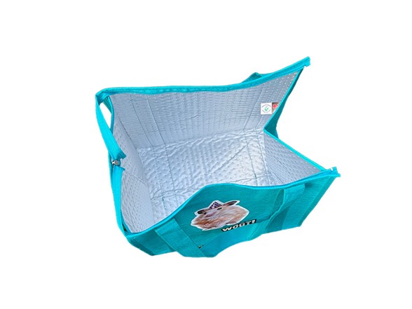 Woot 22nd Birthday Insulated Tote