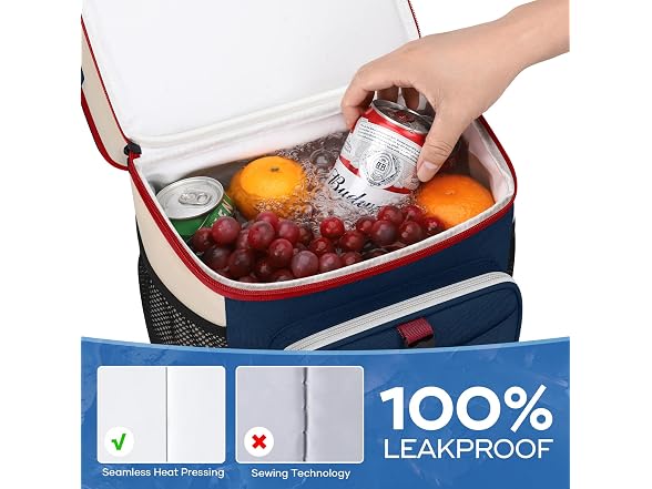 Maelstrom Insulated Lunch Bag