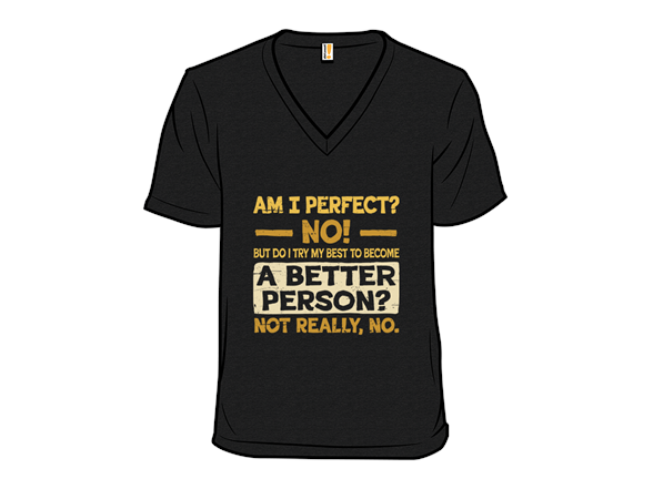 Am I Perfect?