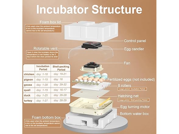 CoInceptus 35 Eggs Incubators