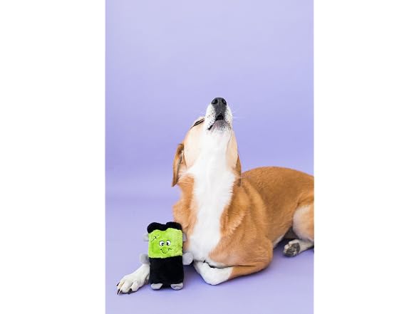 ZippyPaws Squeakie Buddies