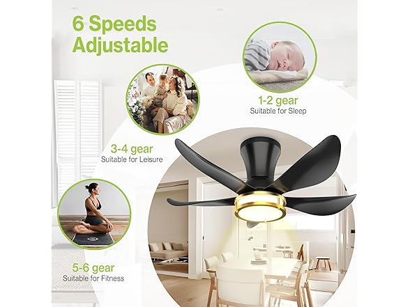 DAMINY Ceiling Fan with Light | 30In