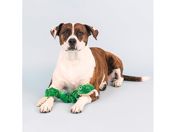 Hisses & Kisses Plush Dog Toy