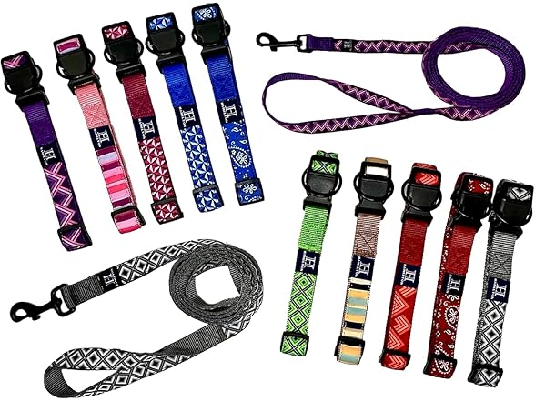 Hamilton 6 Foot Nylon Dog Leash, 1 Inch Wide