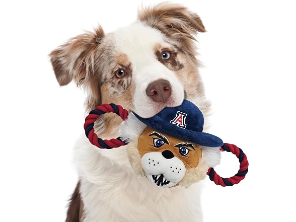 Pets First NCAA University of Arizona Wildcat