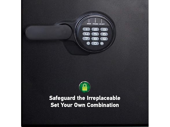 SentrySafe Black Steel Home Safe with Digital Keypad Lock