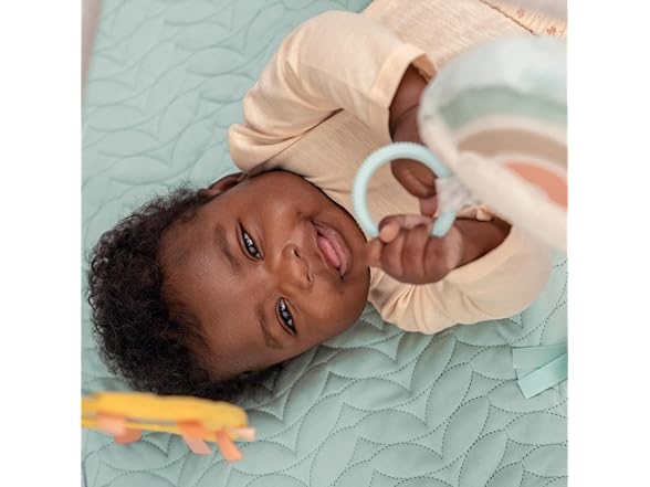 Ingenuity Calm Springs Plush Activity Gym