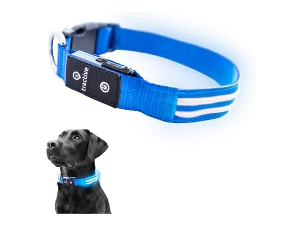 Tractive LED Light Up Dog Collar USB Rechargeable
