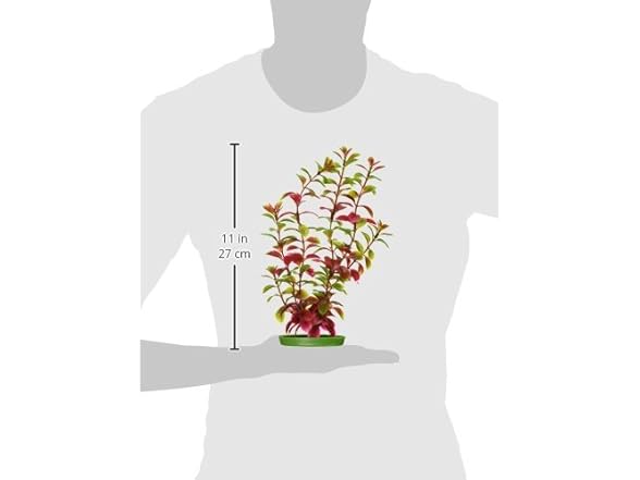 Aquascaper Fish Tank Red Ludwigia Plant