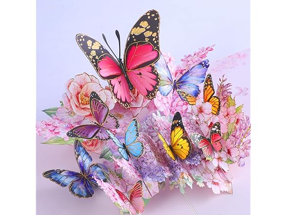 Iskueal 3D Butterfly Greeting Cards