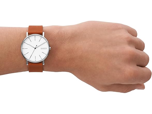 Skagen Mens Signatur Three Hand Watch