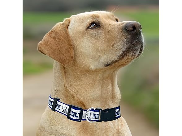 Pets First NFL Licensed Pet Collar
