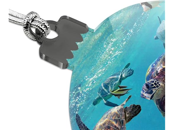 GRAPHICS & MORE Ocean Coral Reef Sea Turtles
