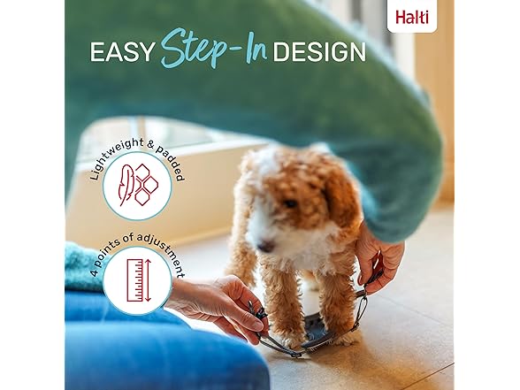 HALTI Anatomy Puppy Harness - Provides Y