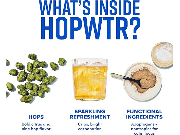 12PK HOPWTR Variety Pack - Sparkling Hop Water