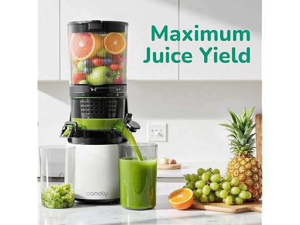 Canoly Cold Press Juicer 3 in 1