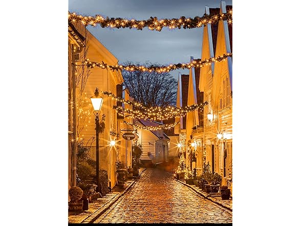Brightown Cluster-Lights-Christmas-Tree-Lights-Outdoor, 1000 LED 50 Ft