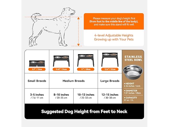 CZPET Elevated Dog Bowls Stainless