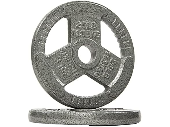 Fitvids Cast Iron Plate Weight 25LB (Pair)